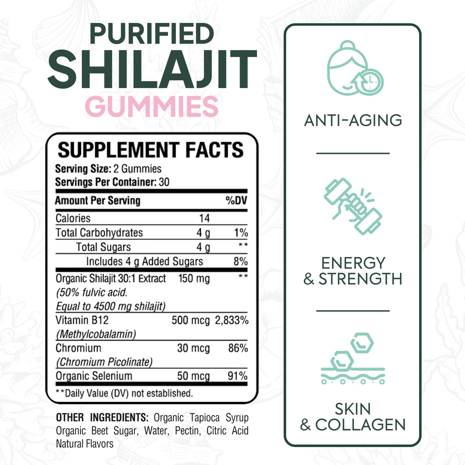Organics Ocean Shilajit Gummies – Pumpkin Cocoa, 60 Gummies