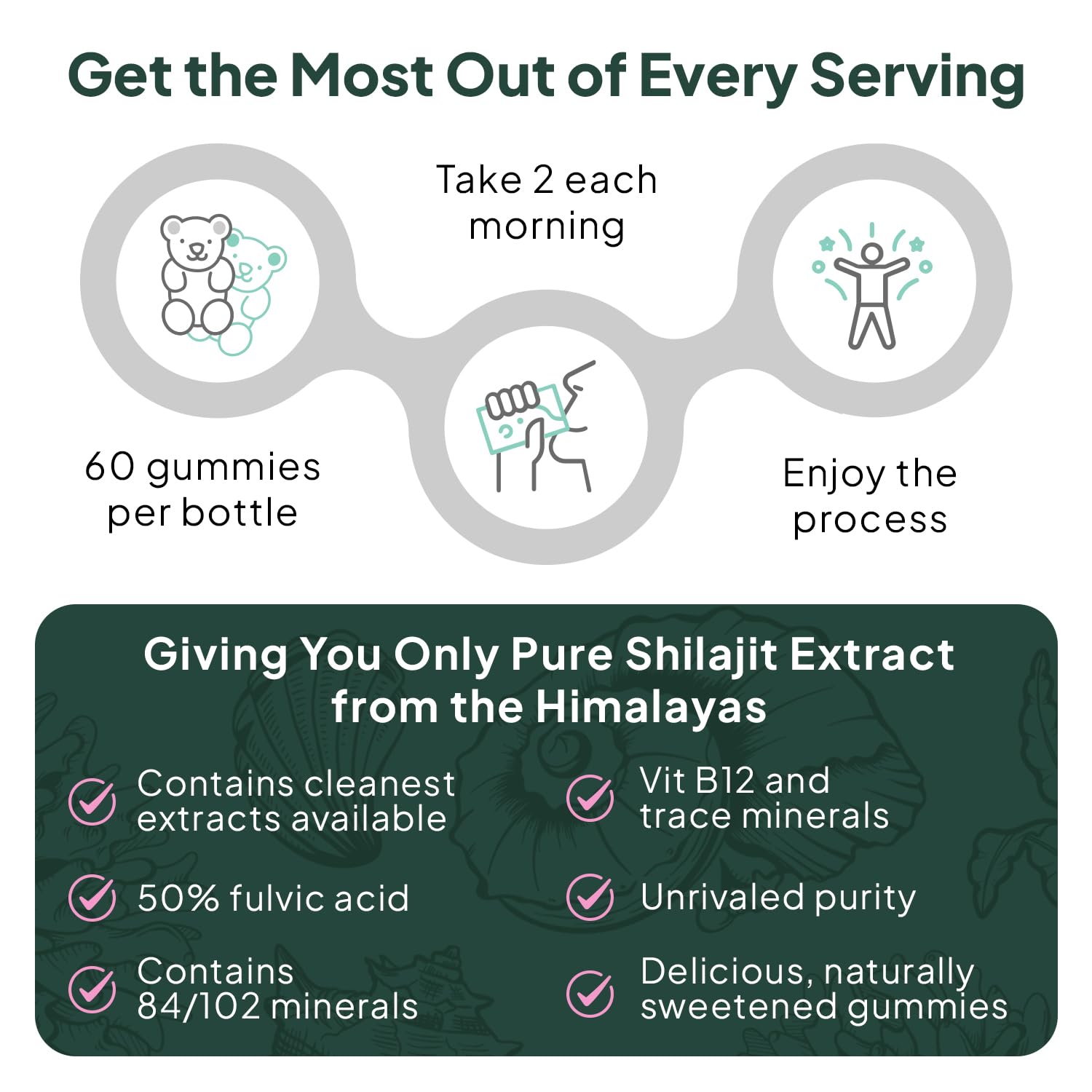 Organics Ocean Shilajit Gummies – Energy, Hormone Support & Skin Health (60 Gummies)