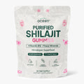 Organics Ocean Shilajit Gummies – Pumpkin Cocoa, 60 Gummies