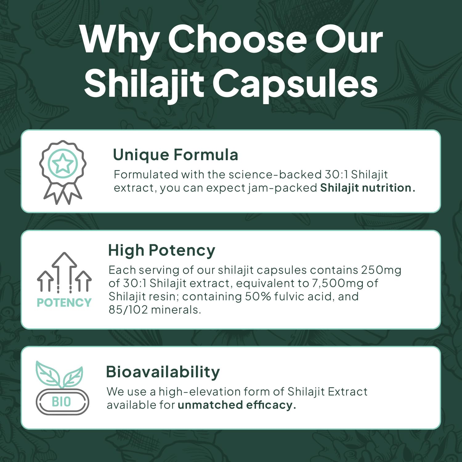 Organics Ocean One-Per-Day Shilajit Capsules – Himalayan Shilajit for Hormone Support – 6 Bottles