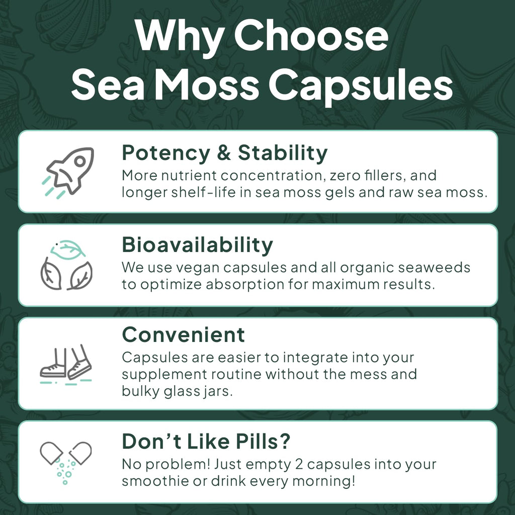 Organics Ocean Wild Sea Moss Capsules – Organic Irish Sea Moss, Chlorella, Bladderwrack & Vitamin D3 (3 Bottles)