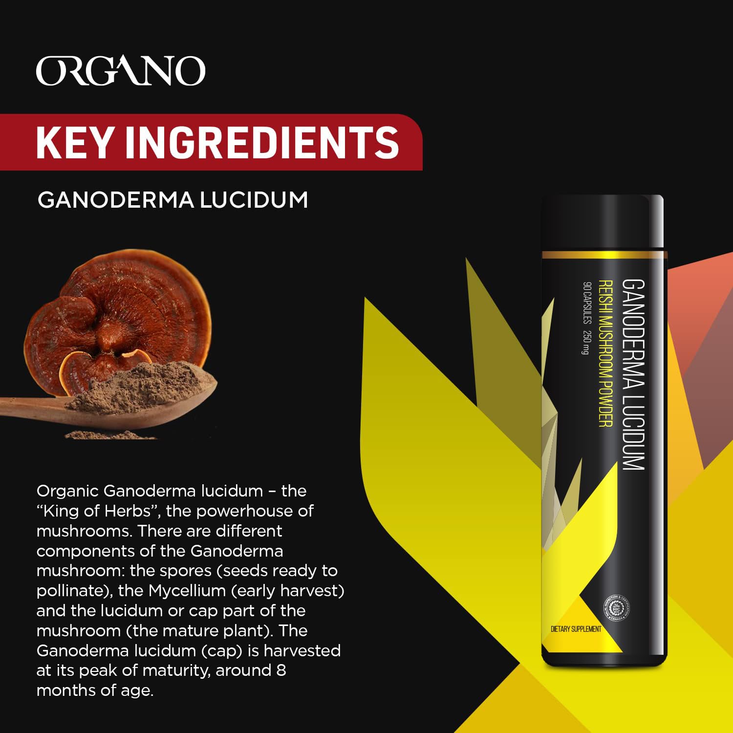 ORGANO OGX Organic Ganoderma Lucidum 90-Count