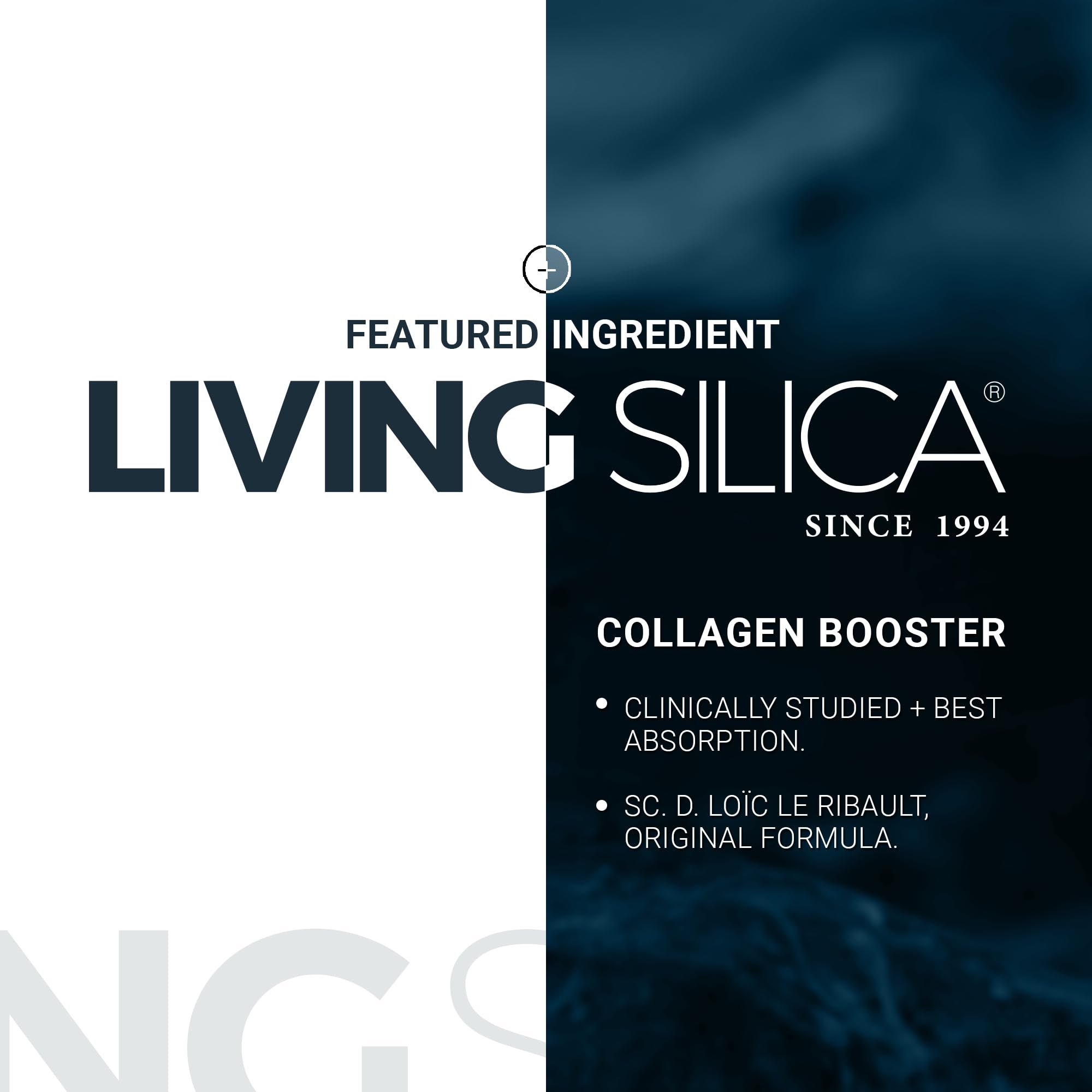 Orgono Living Silica Mineral-Based Collagen Booster Capsules | Supports Collagen, Skin & Joints | 60 Capsules