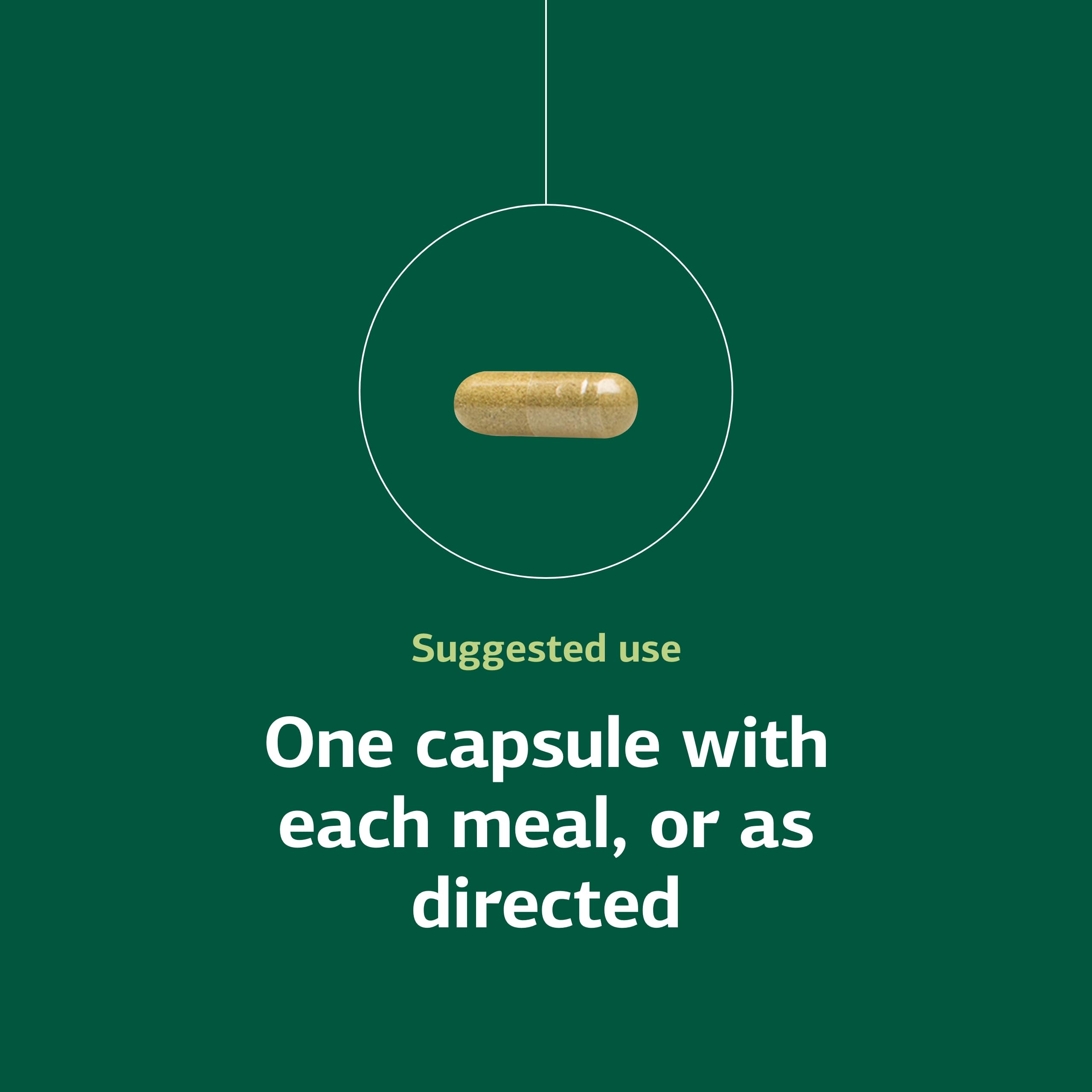 Standard Process Ostarplex - Connective Tissue & Liver Health, 90 Capsules