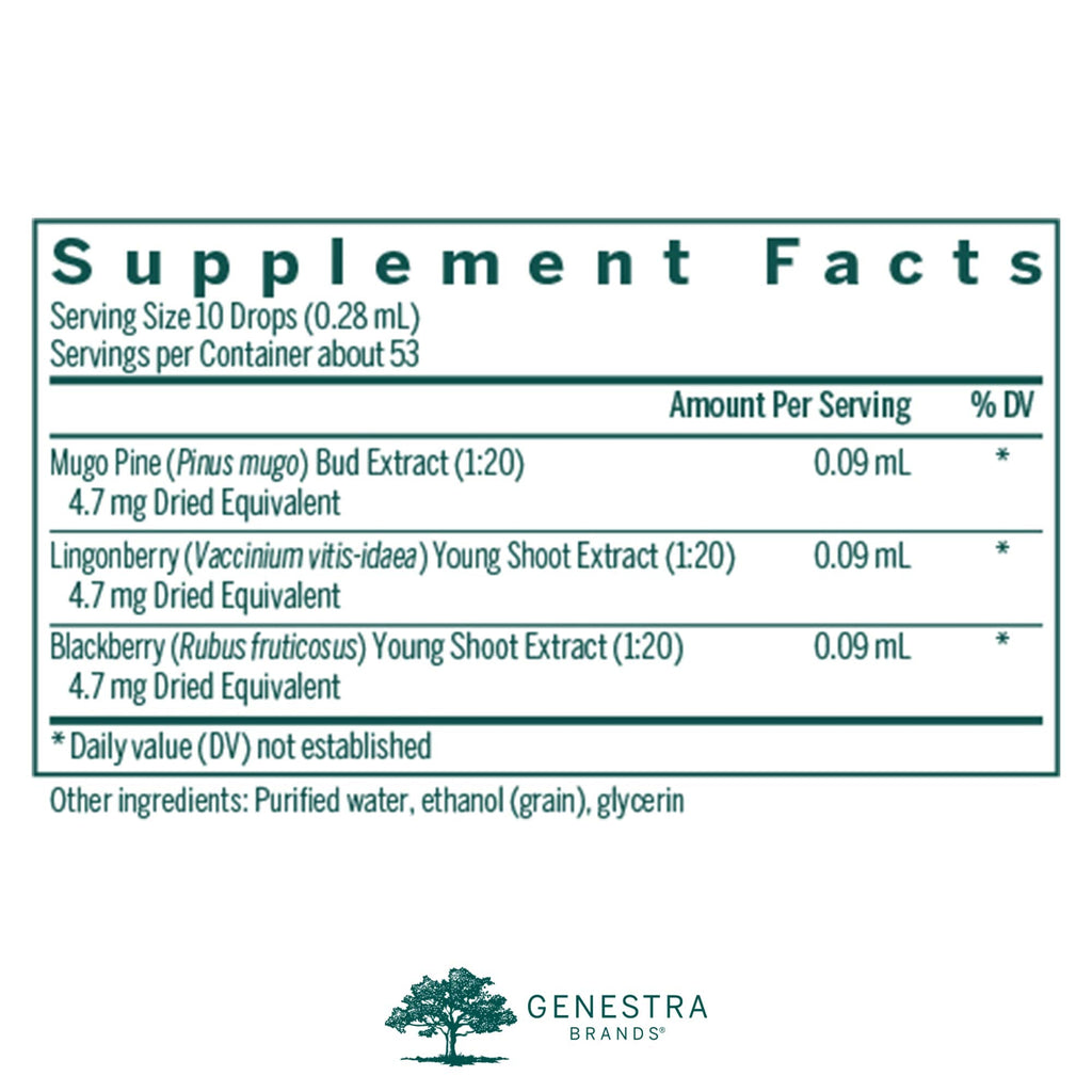 Genestra Osteo-gen – Mugo Pine, Lingonberry, Blackberry | 0.5 fl oz