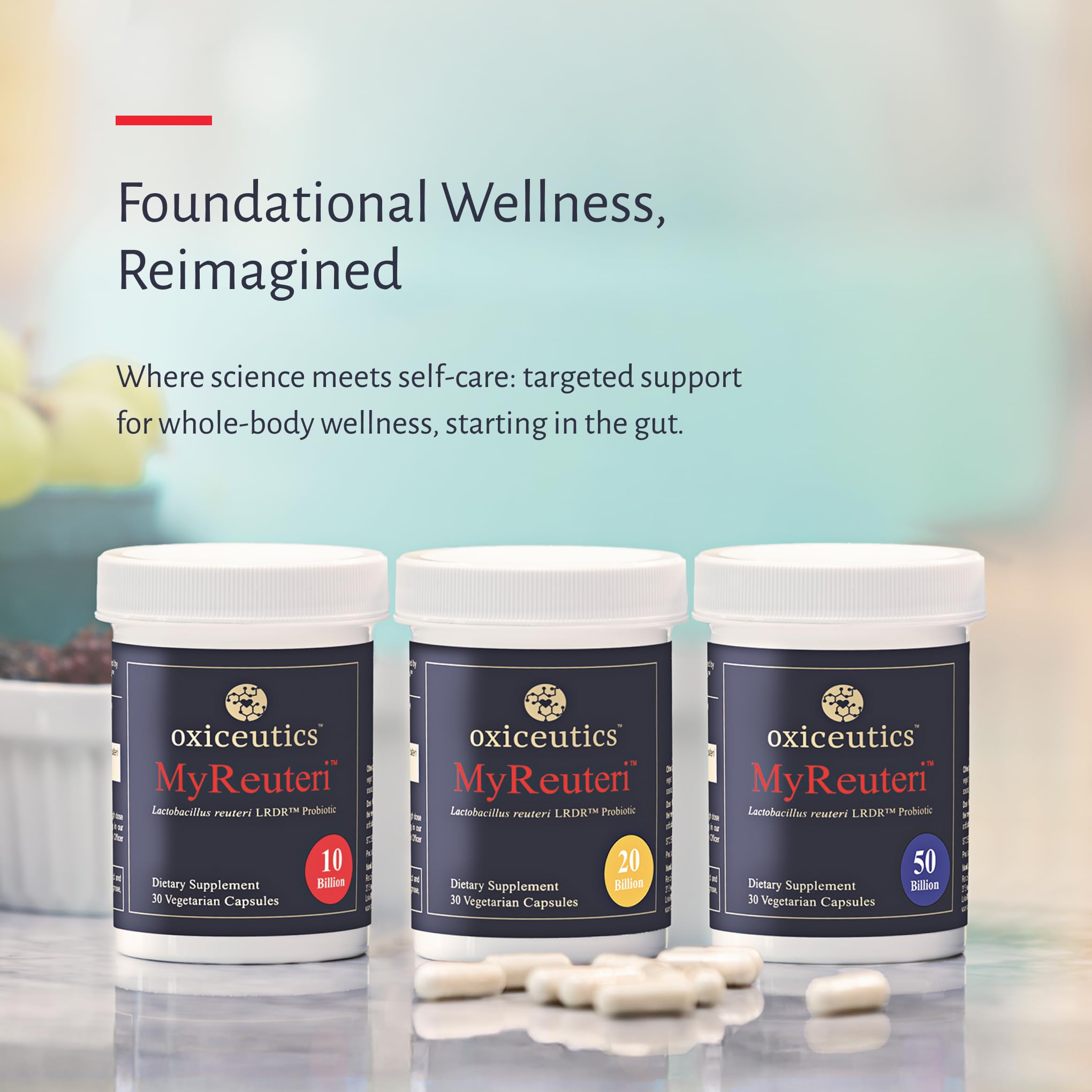 oxiceutics MyReuteri 10 Billion CFU Probiotic – Yogurt-Style Starter + FOS Prebiotic by Dr. William Davis
