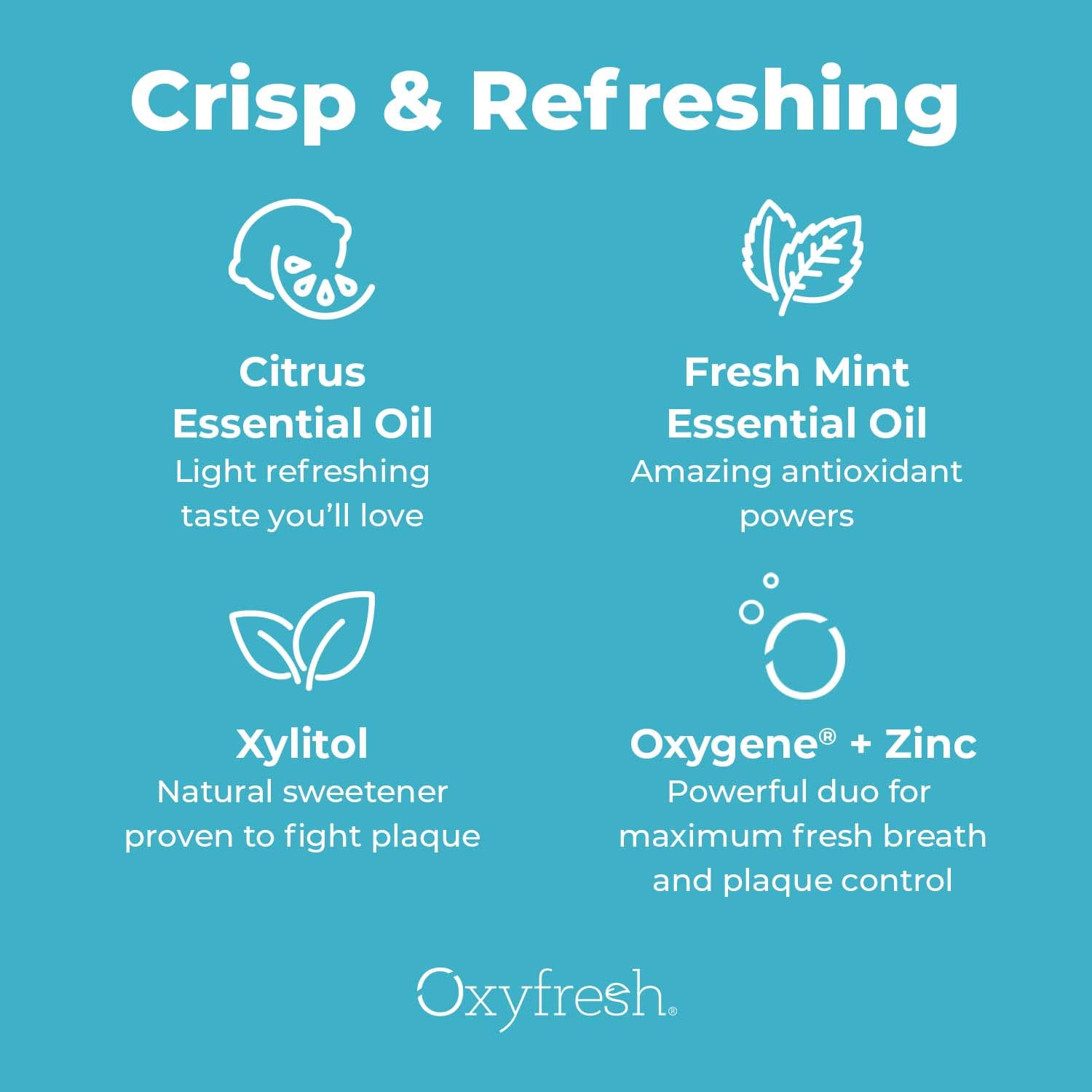 Oxyfresh Lemon Mint Fresh Breath Mouthwash – SLS Free, Fluoride Free, Alcohol Free | 128 oz Gallon