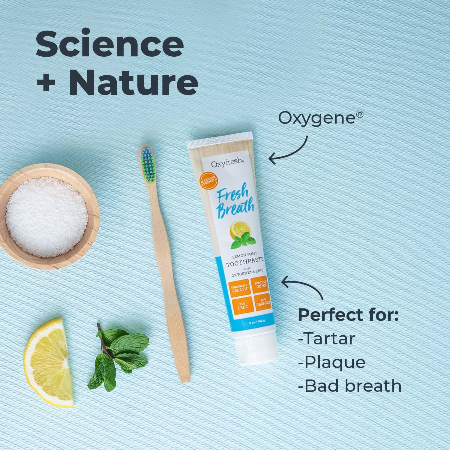Oxyfresh Premium Lemon Mint Fresh Breath Toothpaste – SLS & Fluoride Free, Low Abrasion, 5oz Pack of 2