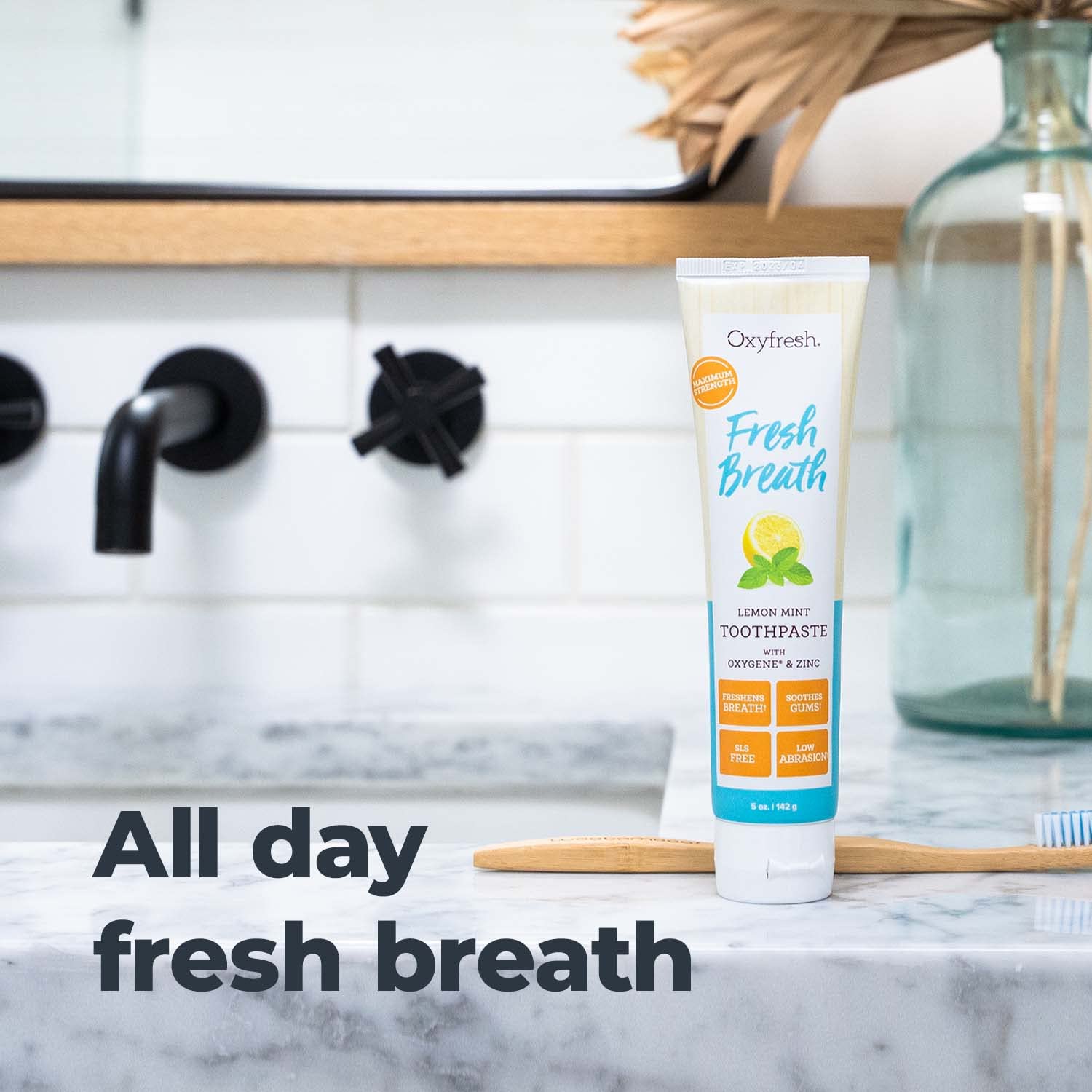 Oxyfresh Premium Lemon Mint Fresh Breath Toothpaste – SLS & Fluoride Free, Low Abrasion, 5oz Pack of 2