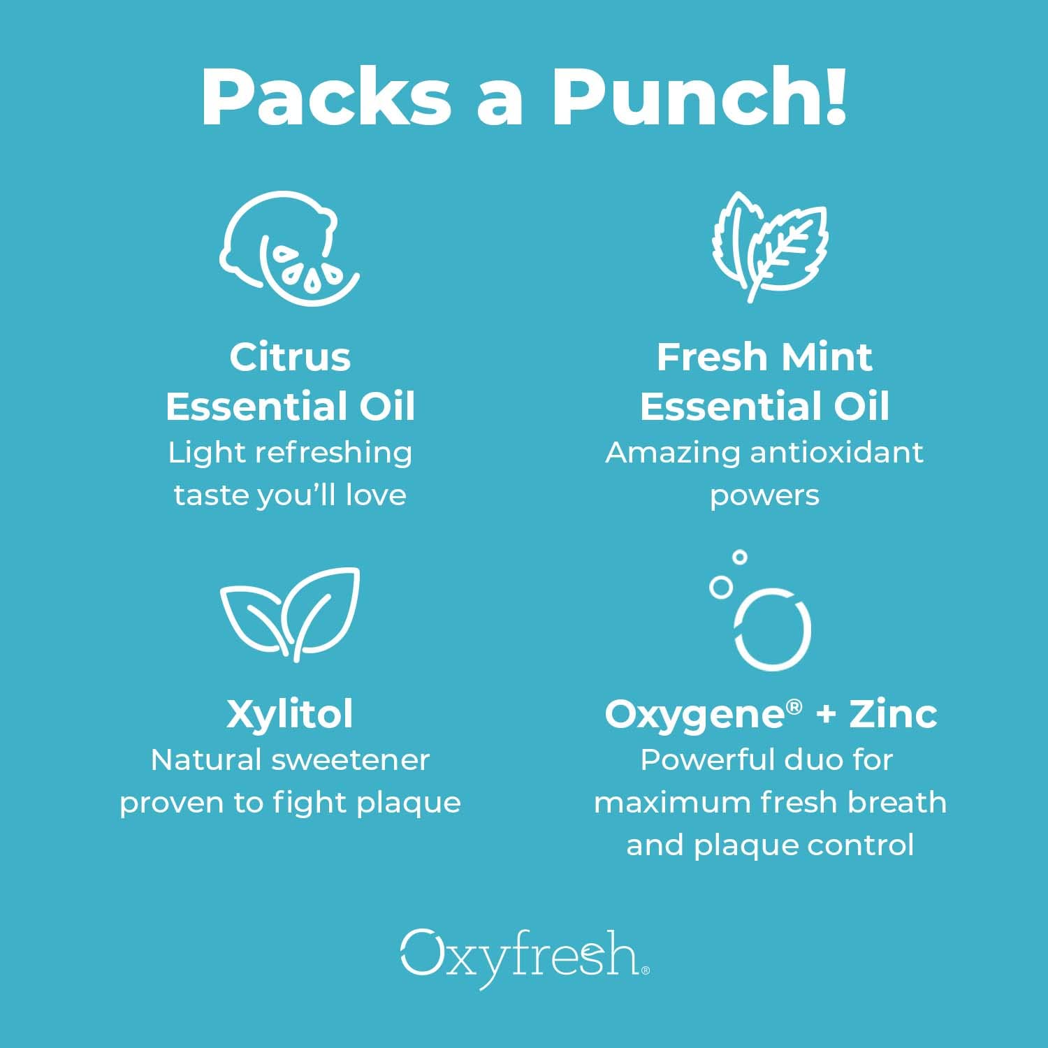 Oxyfresh Premium Lemon Mint Fresh Breath Toothpaste – SLS & Fluoride Free, Low Abrasion, 5oz Pack of 2