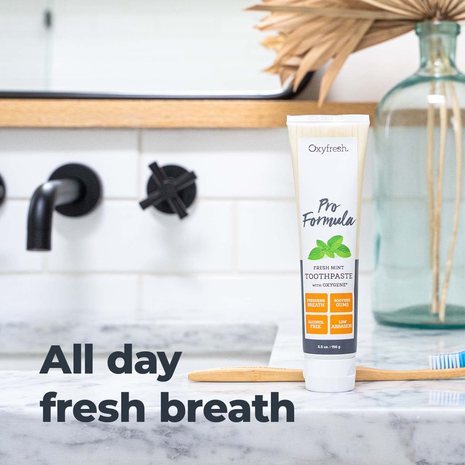 Oxyfresh Pro Formula Fresh Mint Toothpaste – Gentle Low Abrasion, Fluoride Free, 5.5 oz (Pack of 3)