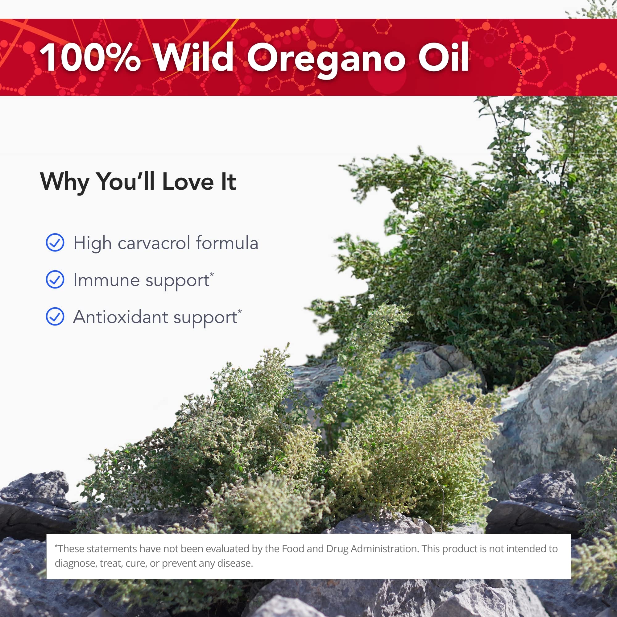 Physician's Strength OregaWild – 30 mL 100% Wild Oregano Oil | 432 Servings