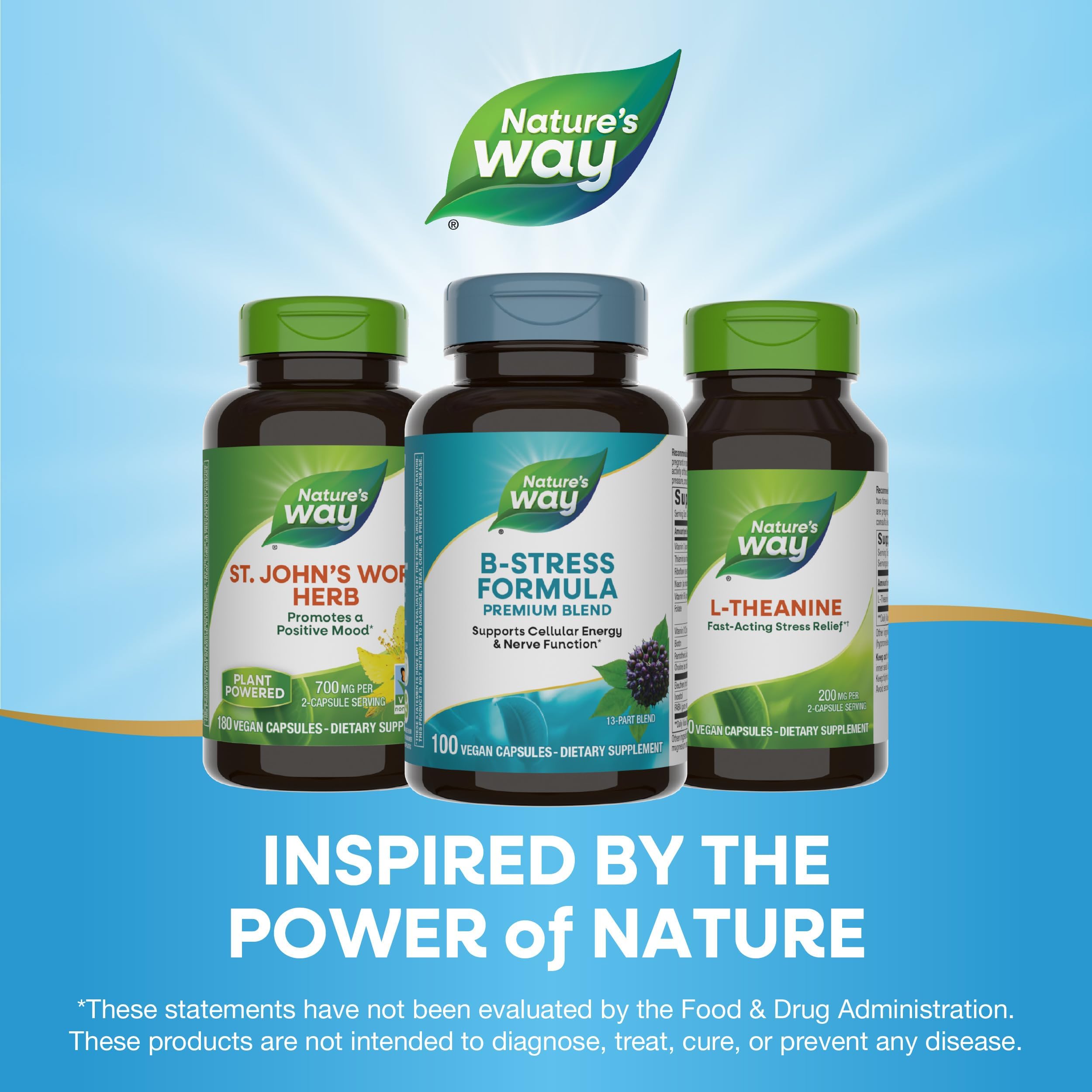 Nature's Way Vitamin C with Rose Hips - 1000 mg Immune Support (2-Pack)