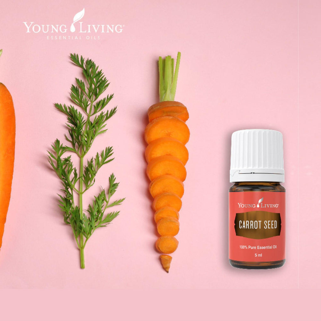 Young Living Carrot Seed Essential Oil 5 ml | Dry Skin Moisturizer, Beautifying & Skin Cleansing