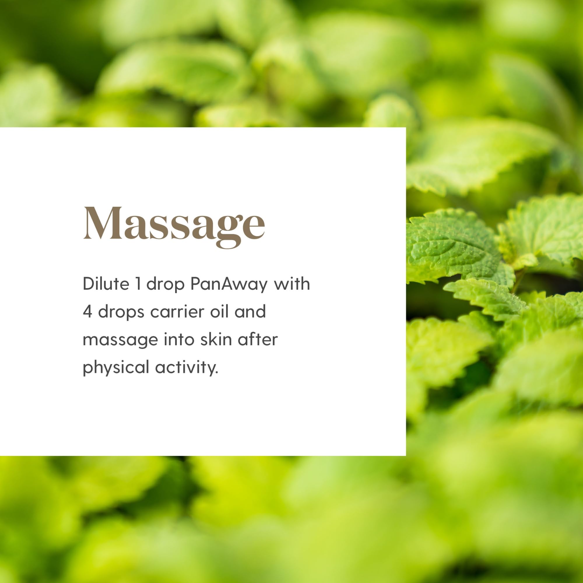 PanAway 5ml Essential Oil by Young Living Essential Oils | Post-Workout Refresh & Invigorating Aroma