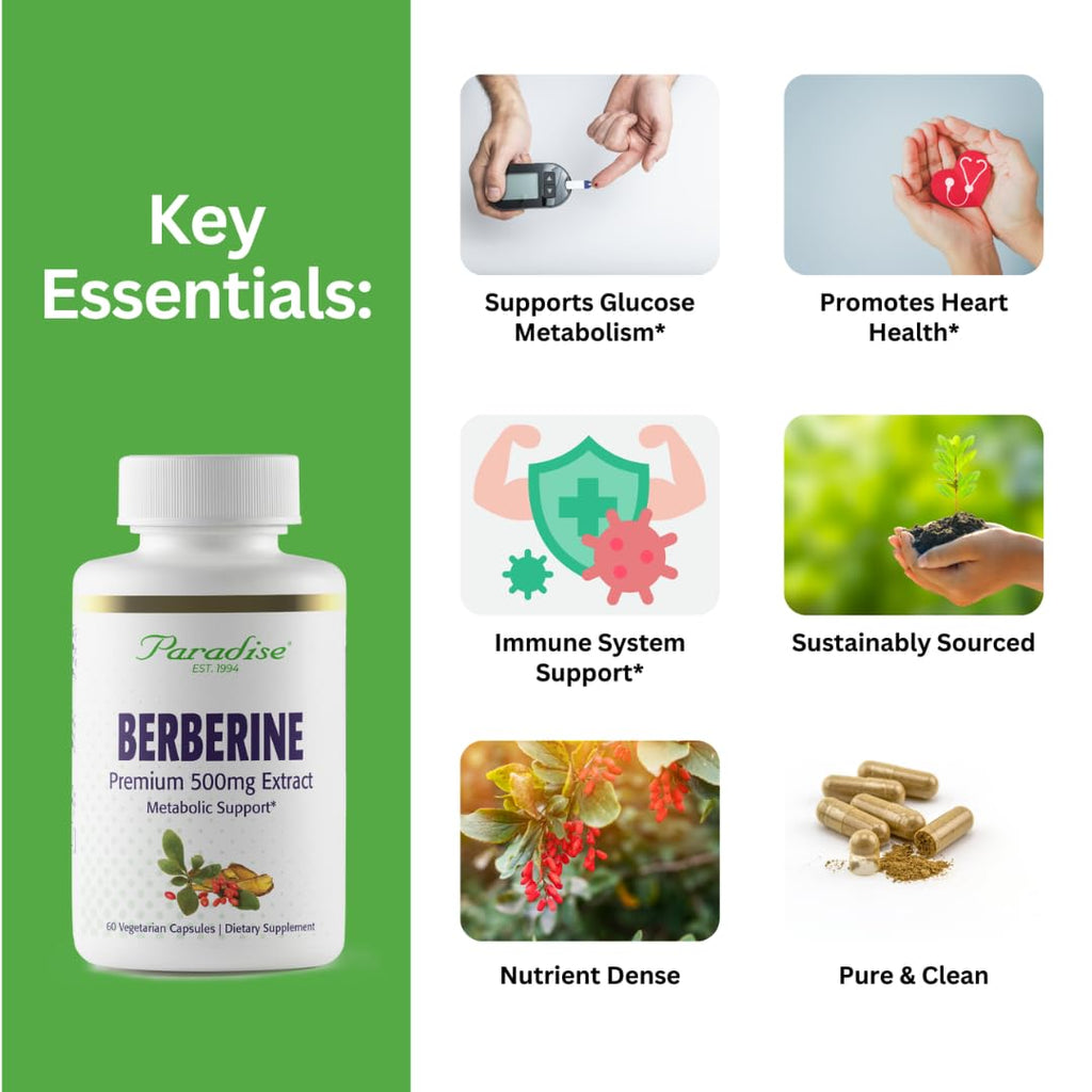 Paradise Herbs Berberine Extract 500 mg – Vegan & Gluten Free (60 capsules)