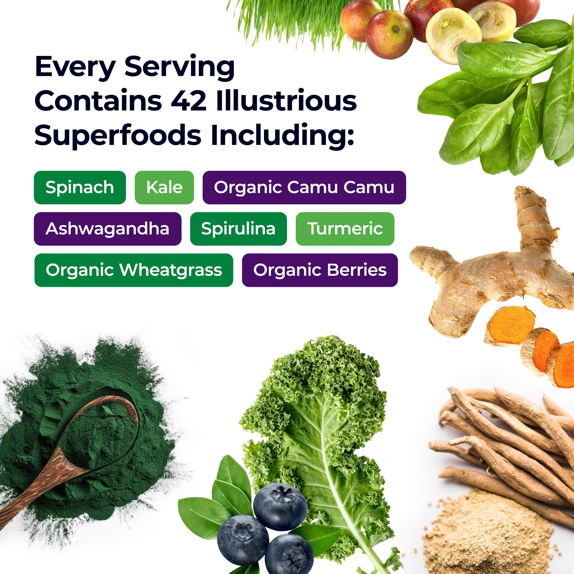 Paradise Herbs ORAC Energy Greens Powder — Antioxidant Power of 24 Fruits & Veggies in 1 Scoop | 120 Servings