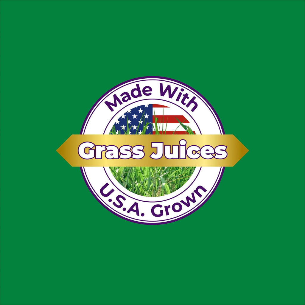 Paradise Herbs ORAC Energy Greens Powder | Antioxidant Power of 24 Fruits & Veggies per Scoop | 15 Servings