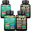 Parrox Dynamic Vitality Bundle (2 Pack) – Shilajit, Sea Moss 350mg & 22 Plant-Based Ingredients