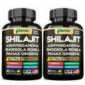 Parrox Shilajit 8-in-1 Supplement – 120 Caps with Panax Ginseng, Ashwagandha, Rhodiola, Turmeric, Ginkgo Biloba, Cordyceps