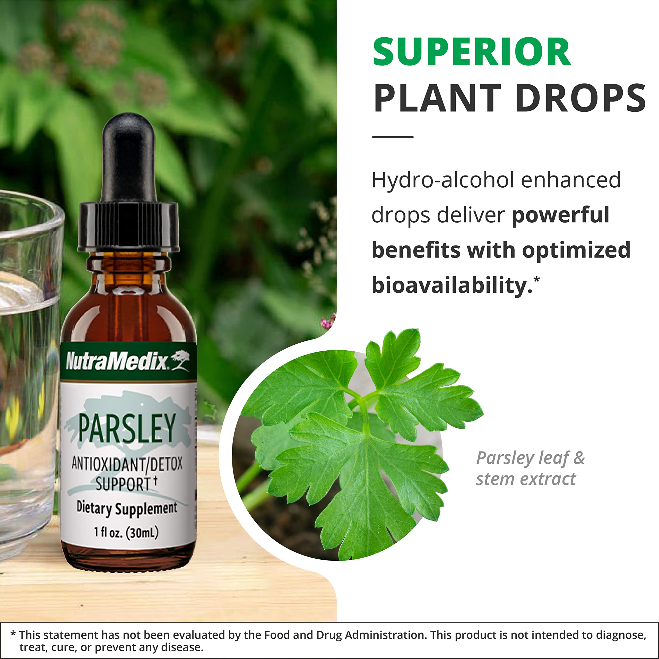 NutraMedix Parsley Herbal Supplement - Detox, Antioxidant & Immune Support (1oz / 30ml)