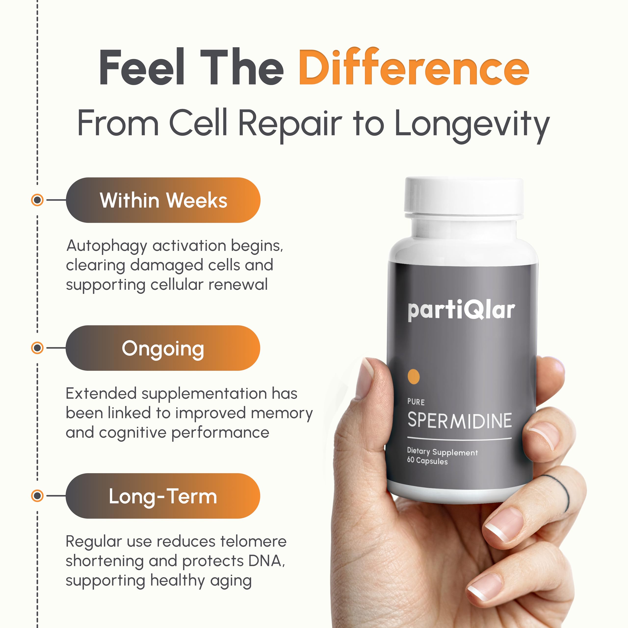 partiQlar Spermidine Supplement – 99% Purity, 8 mg per Capsule, 60 Capsules – Made in USA
