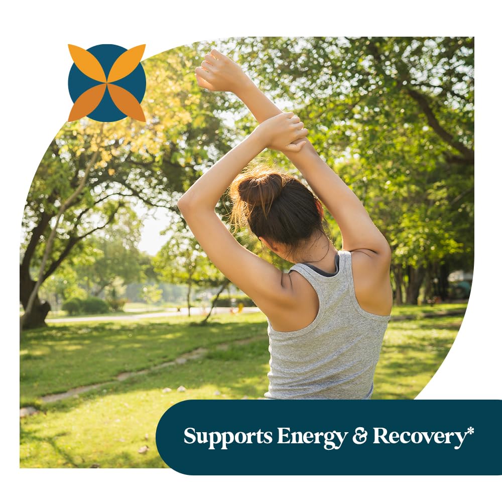 Pattern Wellness Ashwagandha Complex - Organic KSM-66 & Black Pepper - Stress Response & Energy Balance - 360 Vegan Capsules