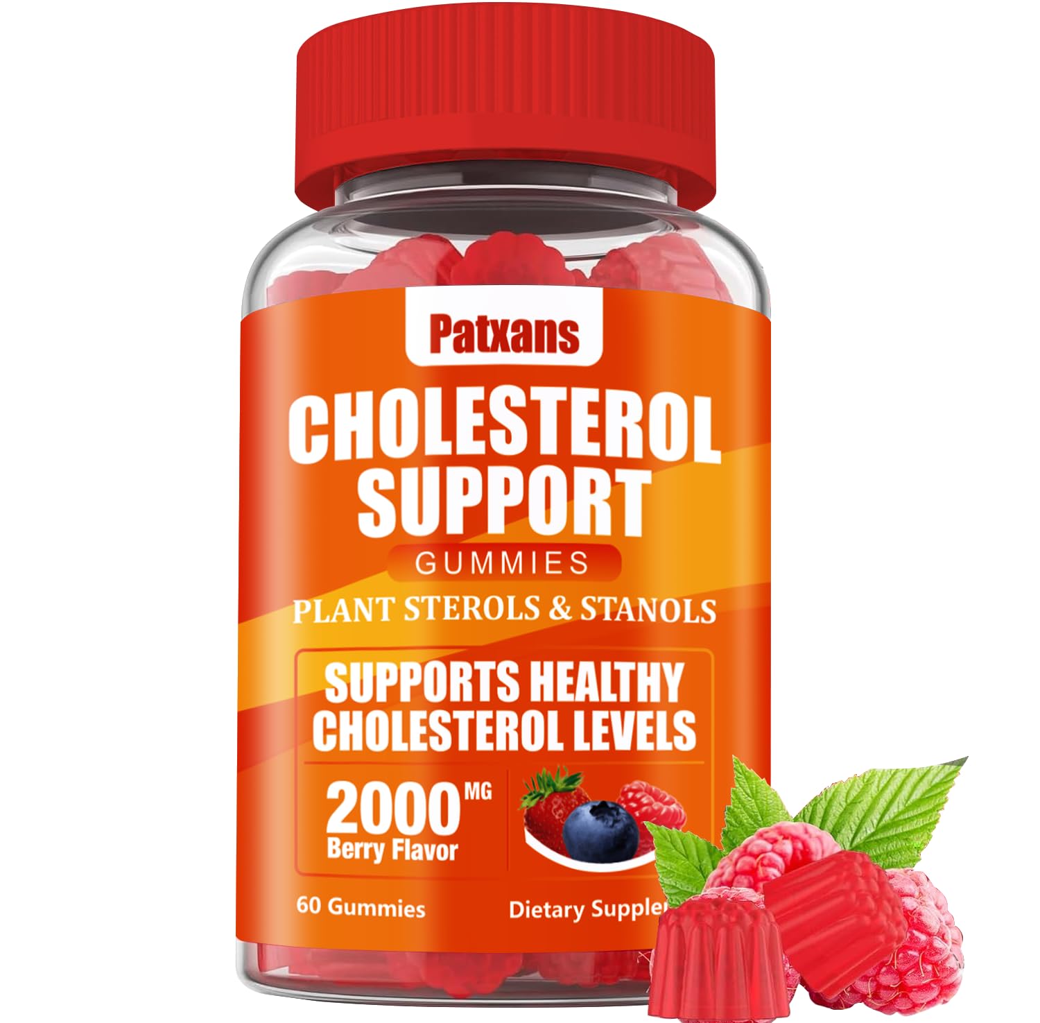 Patxans 1 Pack Cholesterol Support Gummies – 2000mg Plant Sterols & Stanols | Cholesterol Support, Mixed Berry, 60 Count