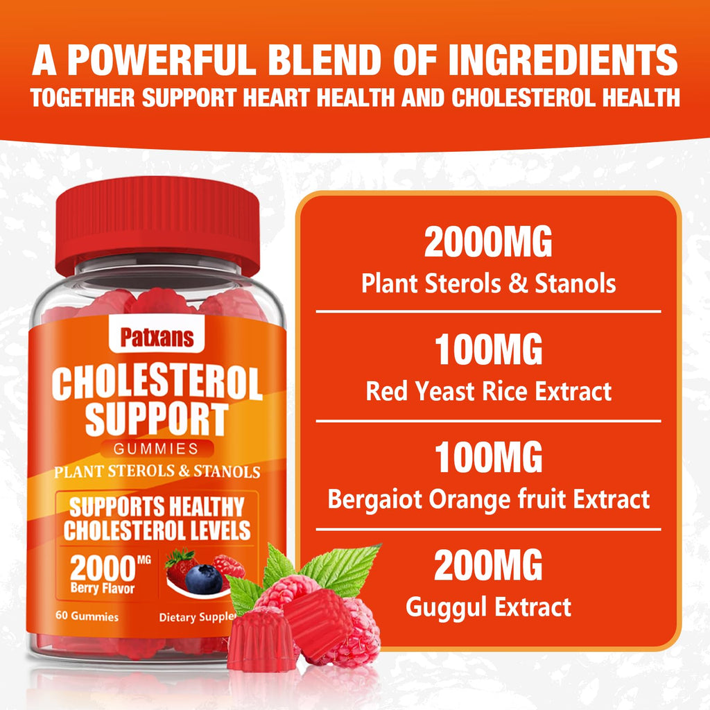 Patxans 1 Pack Cholesterol Support Gummies – 2000mg Plant Sterols & Stanols | Cholesterol Support, Mixed Berry, 60 Count