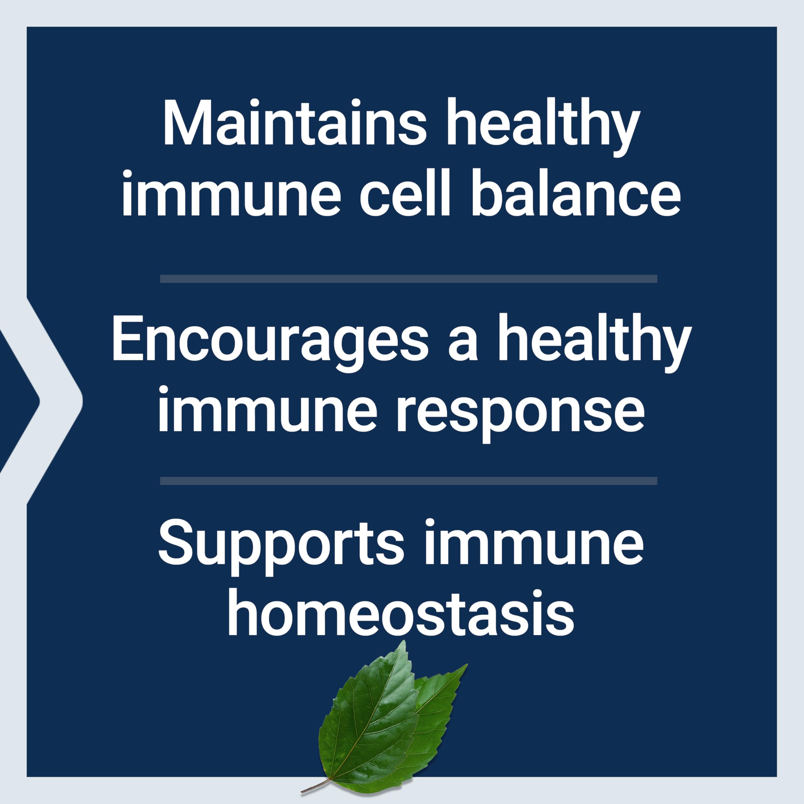 Peony Immune by Life Extension – White Peony Root Immune Support, Gluten-Free, Non-GMO, 60 Capsules