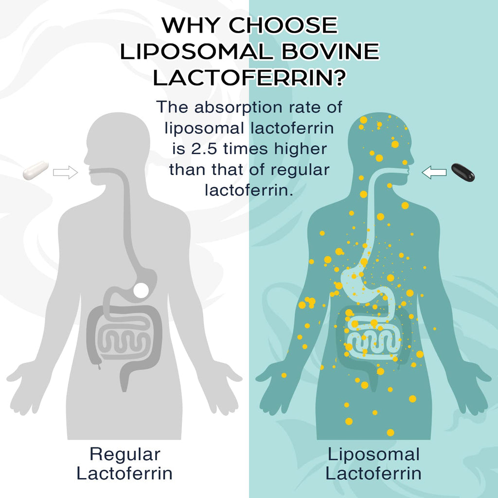 Pepeior Liposomal Bovine Lactoferrin 1000 mg – 60 Softgels (2 Bottles) | Iron Absorption & Immunity