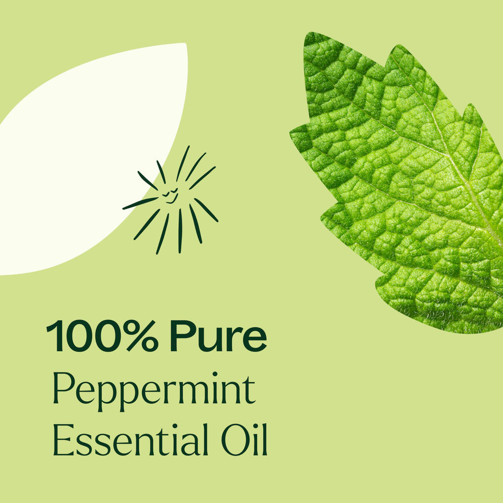 Plant Therapy Peppermint Essential Oil 100 mL – 100% Pure, Undiluted