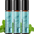 Peppermint Oil Roll-On | Pure Peppermint Essential Oil Rollerball for Headaches, Focus & Energy (3 Pack)