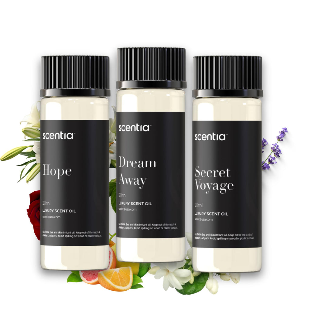 Perfume-Inspired Essential Oil Set – 3×20ml Diffuser Oils