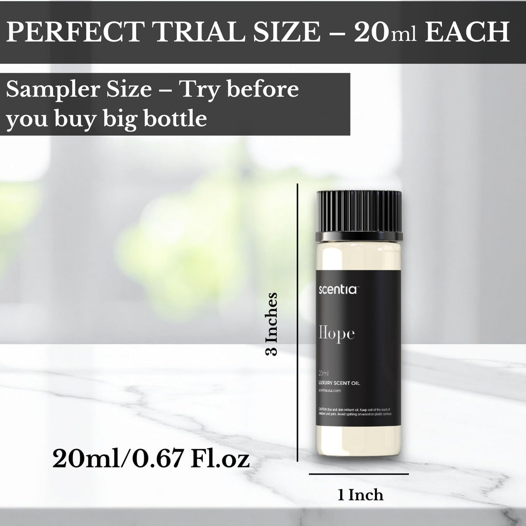 Perfume-Inspired Essential Oil Set – 3×20ml Diffuser Oils
