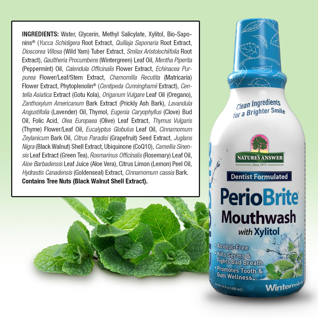 Nature's Answer PerioBrite Winter Mint Mouthwash – Fluoride-Free, Alcohol-Free & Vegan (16oz)