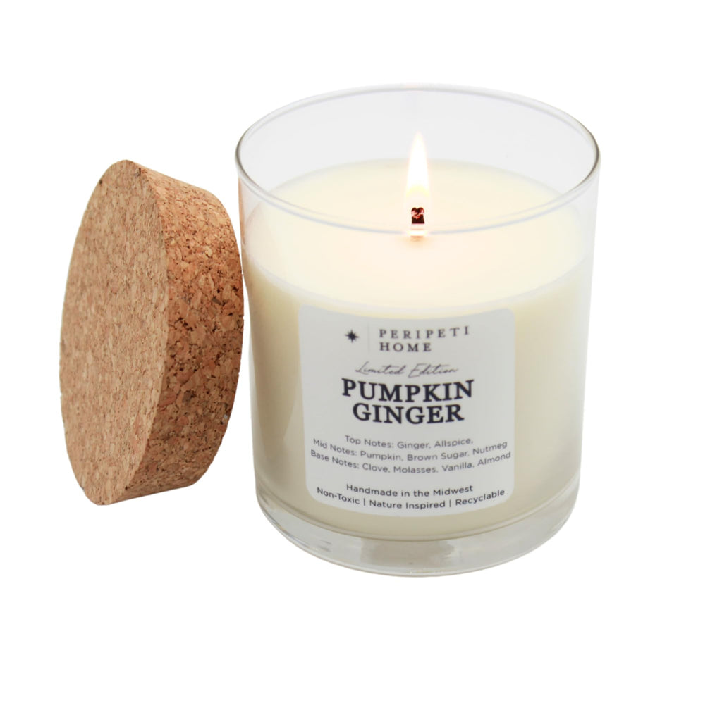 PERIPETI Home Pumpkin Ginger Scented Candle | 8.5oz Soy Wax, Cozy Fall Aromatherapy