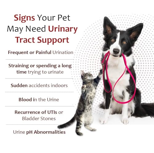 Pet Health Solutions K-Plus Potassium Gluconate Renal Gel Plus Cranberry & EPA for Dogs & Cats – Vet-Approved Renal Support Gel (6 Pack)