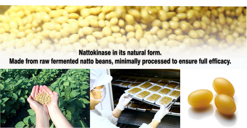 PHARMAKON Natural Nattokinase Organic Fermented Soybean Extract, 6000 FUs per Serving