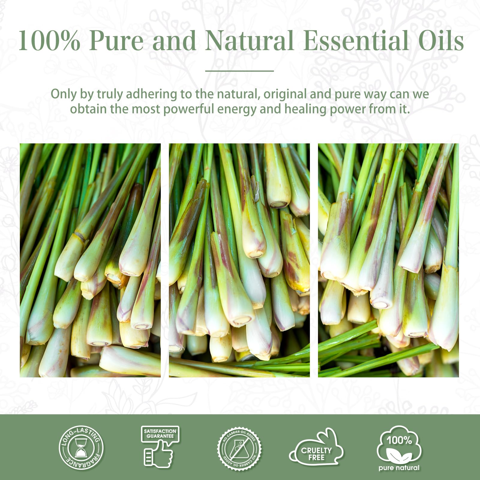 PHATOIL 100ml Citronella Essential Oil – Aromatherapy, Diffusers, DIY Candles & Soap