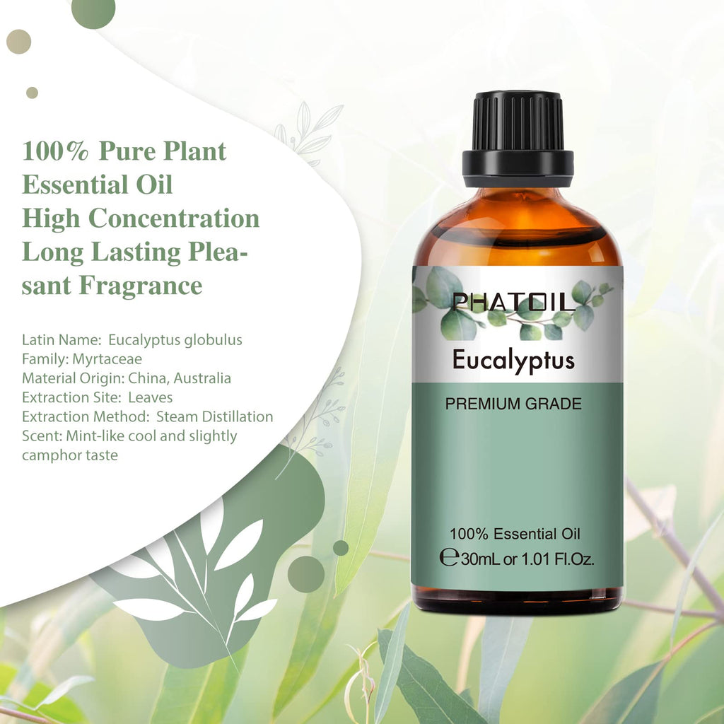 PHATOIL Eucalyptus Essential Oil 30ml – Pure Eucalyptus Oil for Diffusers, Aromatherapy & DIY Crafts