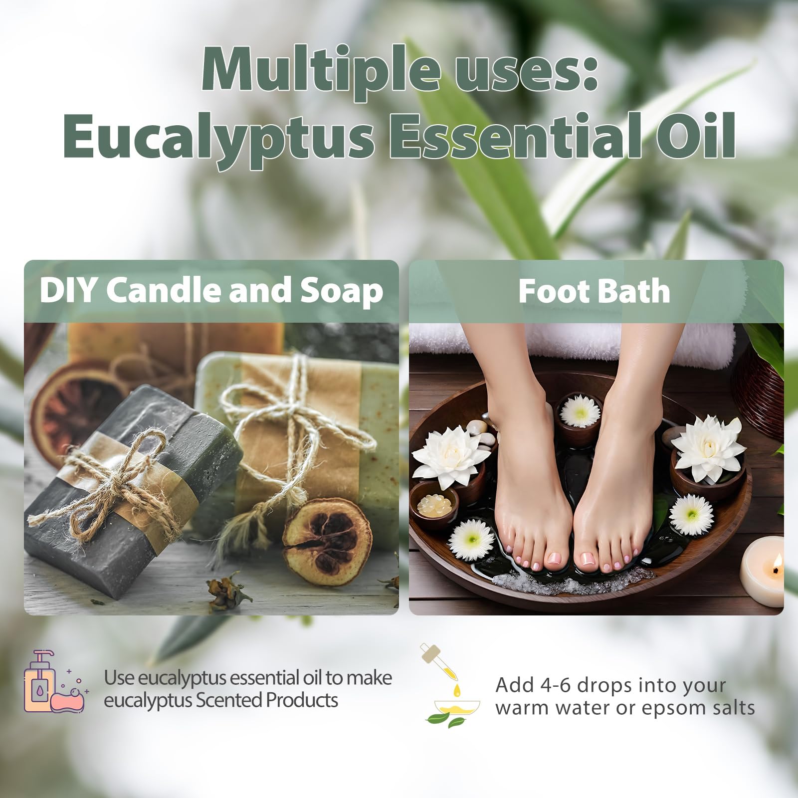 PHATOIL Pure Eucalyptus Essential Oil – 100% Pure Therapeutic Grade, 3.38 Fl Oz (100 ml)