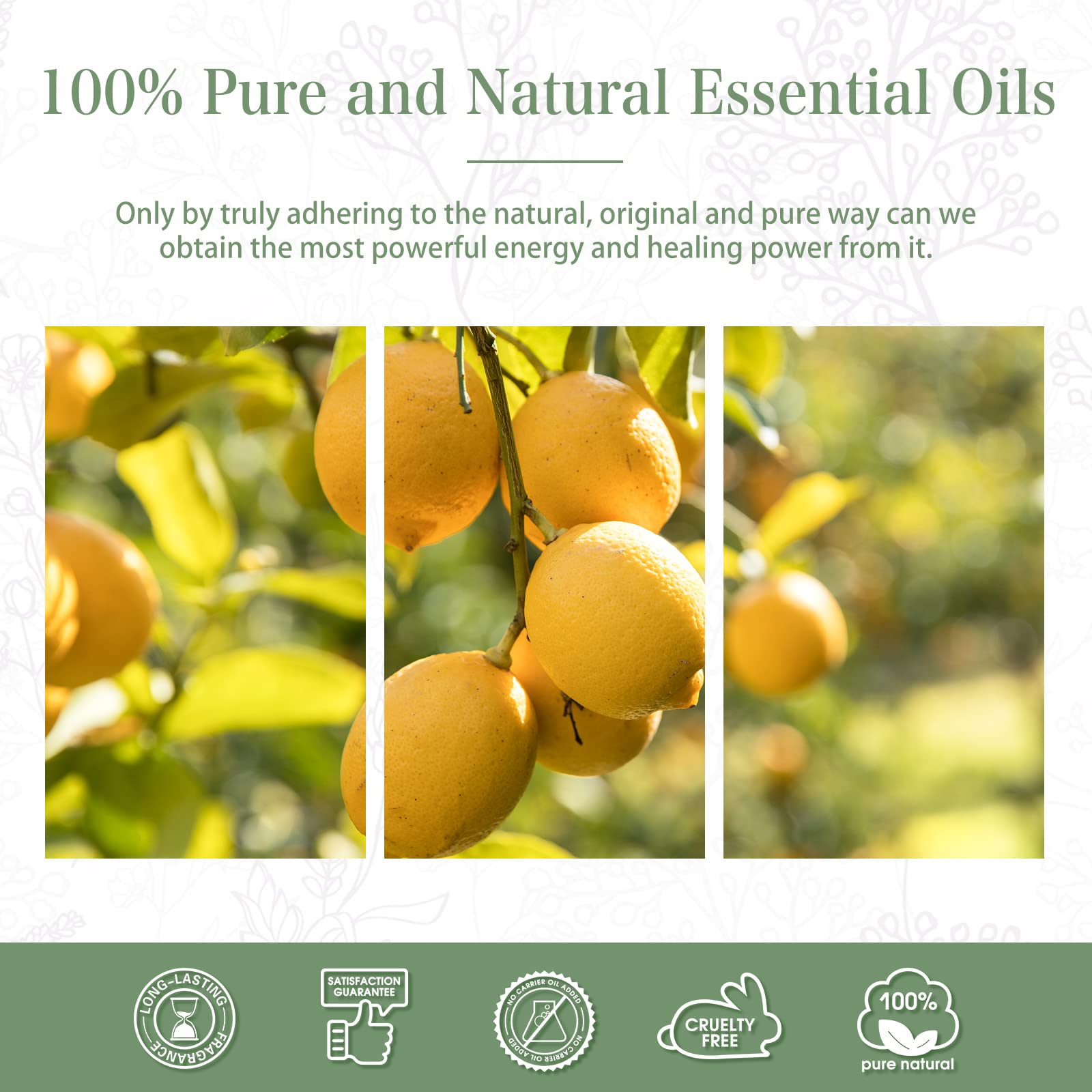 PHATOIL Lemon Essential Oil 30 mL | Pure Aromatherapy for Diffusers & DIY Crafts