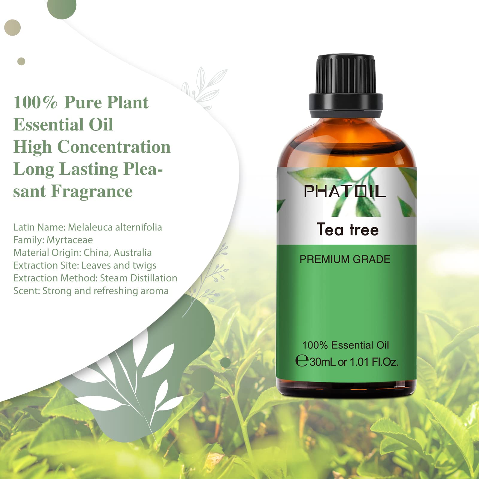 PHATOIL Tea Tree Essential Oil 30ml | Aromatherapy & DIY Crafts