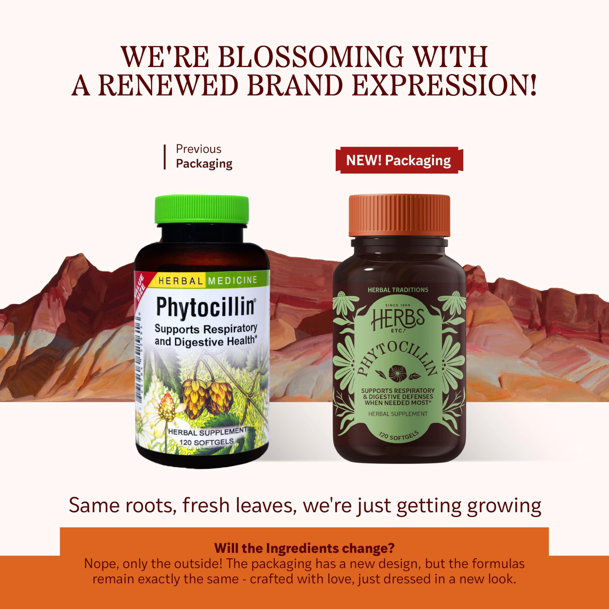 Herbs Etc. Phytocillin: Respiratory & Digestive Health Support | 120 Softgels
