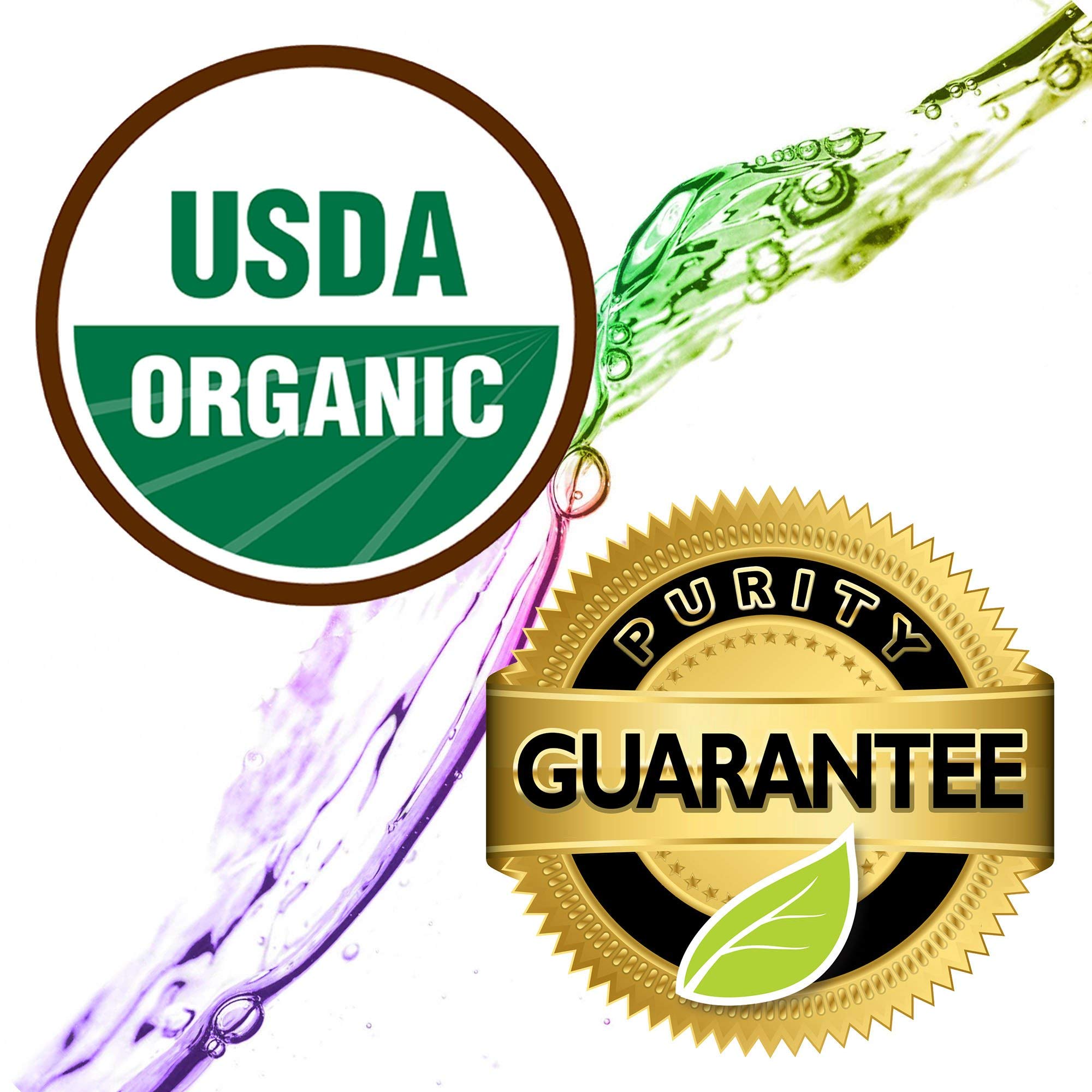 Healing Solutions Organic Pine Essential Oil - 0.33 oz (10 ml) | Pure & Undiluted