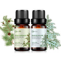 Pine Needles & Douglas Fir Essential Oils - 100% Pure Organic Plant Oils