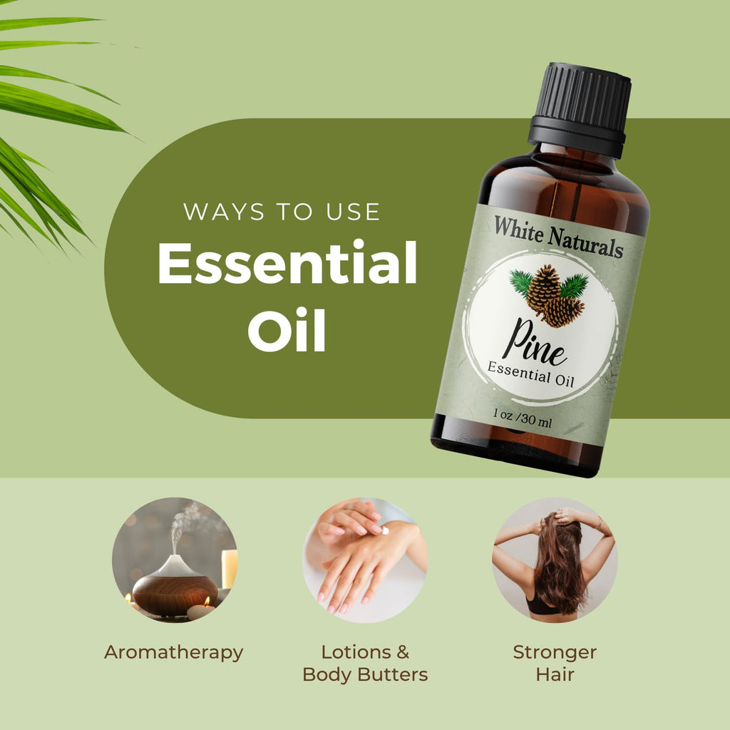 Pure Pine Essential Oil 1 oz – Premium Therapeutic Grade, Woodsy Fresh for Aromatherapy