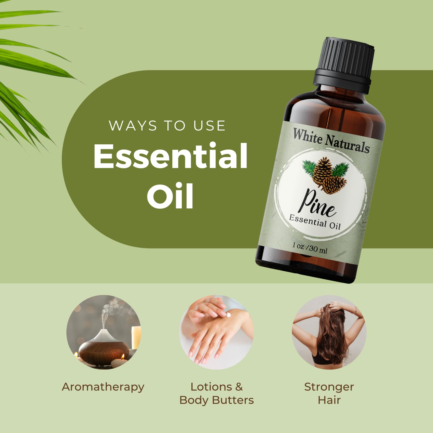 Pure Pine Essential Oil 1 oz – Premium Therapeutic Grade, Woodsy Fresh for Aromatherapy