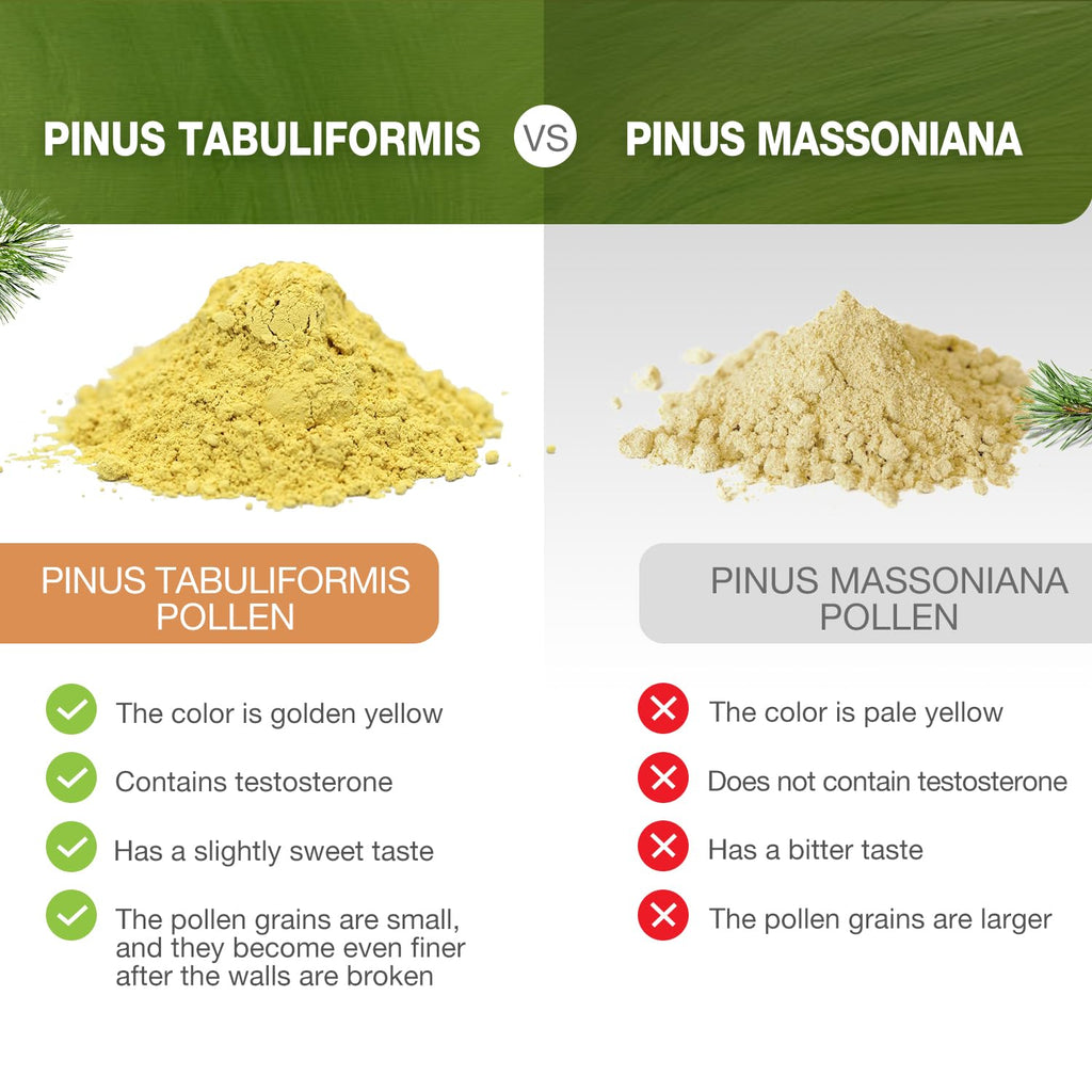 ECO-TASTE Pine Pollen Powder 6 oz | Wild Harvested Pinus Tabuliformis, 99% Cracked Cell Wall